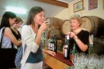 Gold Coast Hinterland Winery Tours