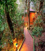 The Mouses House - Springbrook